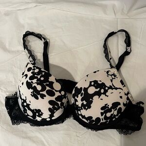 Antinea Elegant Black and White Lace Bra